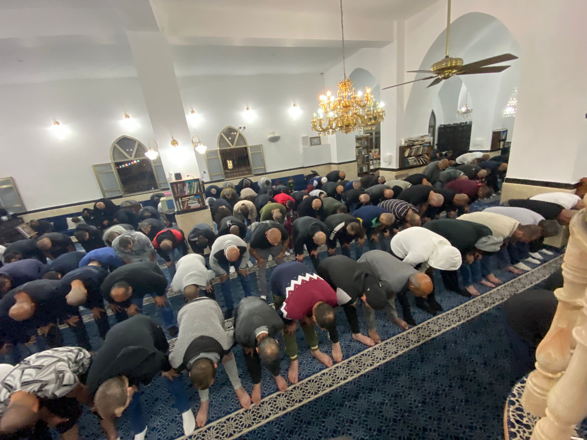 WhatsApp Image 2022-04-03 at 8.54.14 PM (2).jpeg